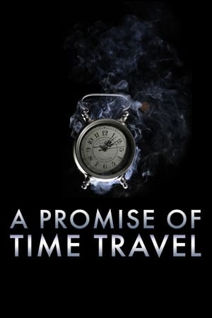A Promise of Time Travel 2016 Dual Audio | Dubbed Hindi Movie Web-DL 300MB