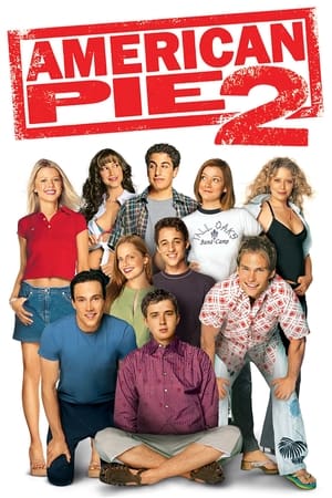 American Pie 2 (2001) Dual Audio | Dubbed Hindi Movie BluRay [990MB]