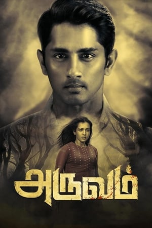 Aruvam (2019) ( – Tamil) Dual Audio | Dubbed Hindi Movie UnCut HDRip 400MB