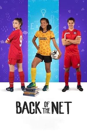 Back of the Net (2019) Dual Audio | Dubbed Hindi Movie Web-DL [800MB]