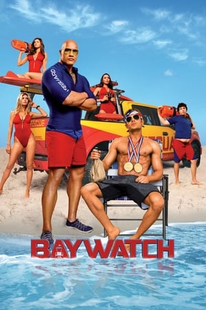 Baywatch 2017 Dual Audio | Dubbed Hindi Movie BluRay ORG 300MB