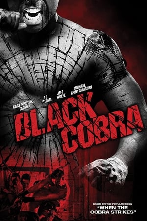 Black Cobra (2012) Dual Audio | Dubbed Hindi Movie BluRay 300MB