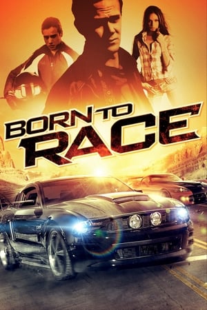Born to Race 2011 Dual Audio | Dubbed Hindi Movie BluRay 300MB