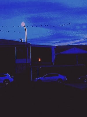 Break (2019) Dual Audio | Dubbed Hindi Movie BluRay [900MB]