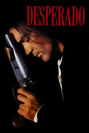 Desperado 1995 Dual Audio | Dubbed Hindi Movie BluRay 300MB
