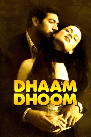 Dhaam Dhoom 2008 Dual Audio [ - Tamil] 430MB UnCut | Dubbed Hindi Movie HDRip Download