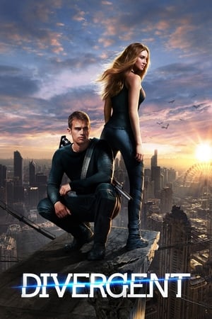 Divergent (2014) Dual Audio | Dubbed Hindi Movie BluRay [1.3GB]