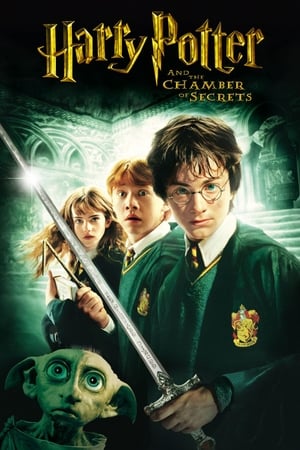 Harry Potter and the Chamber of Secrets (2002) Dual Audio [-Enlish] [100MB]