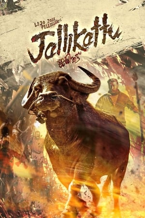 Jallikattu (2019) ( – Malayalam) Dual Audio UnCut HDRip | Dubbed Hindi Movie – 480p