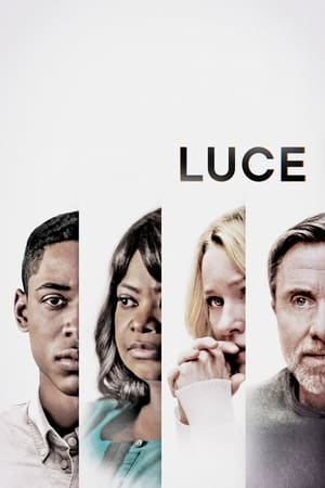 Luce 2019 Dual Audio | Dubbed Hindi Movie Web-DL [1GB]