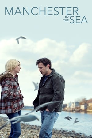 Manchester by the Sea 2016 Dual Audio | Dubbed Hindi Movie BluRay 400MB