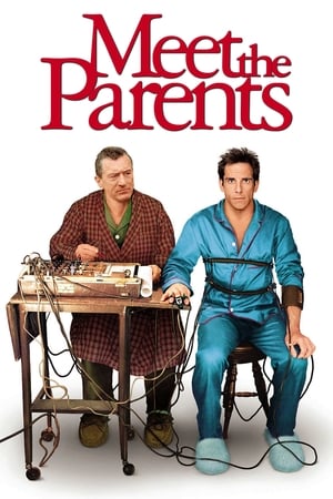 Meet the Parents 2000 Dual Audio | Dubbed Hindi Movie BluRay [930MB]