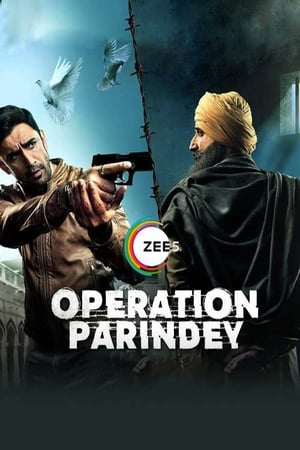 Operation Parindey 2020 Movie | Dubbed Hindi Movie HDRip - [200MB]
