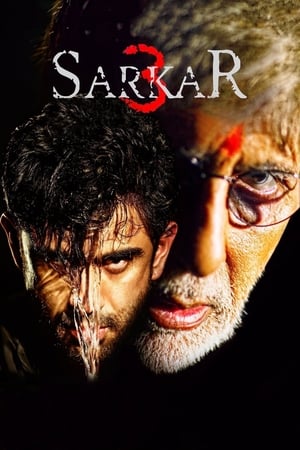 Sarkar 3 2017 Full Movie DVDRip | Dubbed Hindi Movie [700MB] Download