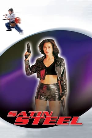 Satin Steel (1994) Dual Audio | Dubbed Hindi Movie Web-DL [700MB]