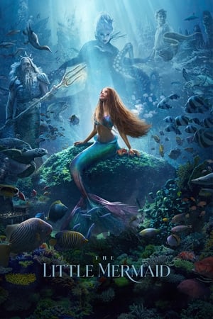 The Little Mermaid (2023) (ORG 5.1) HDRip | Dubbed Hindi Movie | 480p